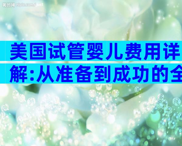 美国试管婴儿费用详解:从准备到成功的全面指南