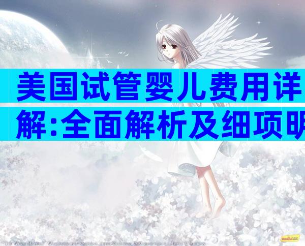 美国试管婴儿费用详解:全面解析及细项明细