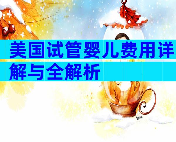 美国试管婴儿费用详解与全解析