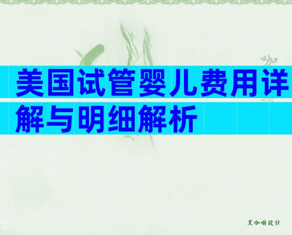 美国试管婴儿费用详解与明细解析