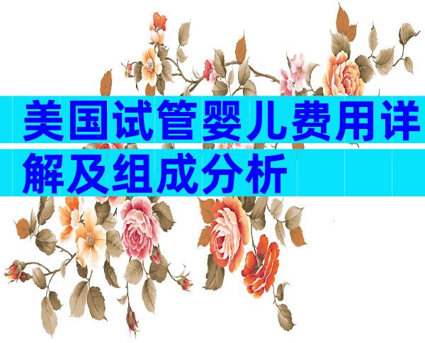 美国试管婴儿费用详解及组成分析