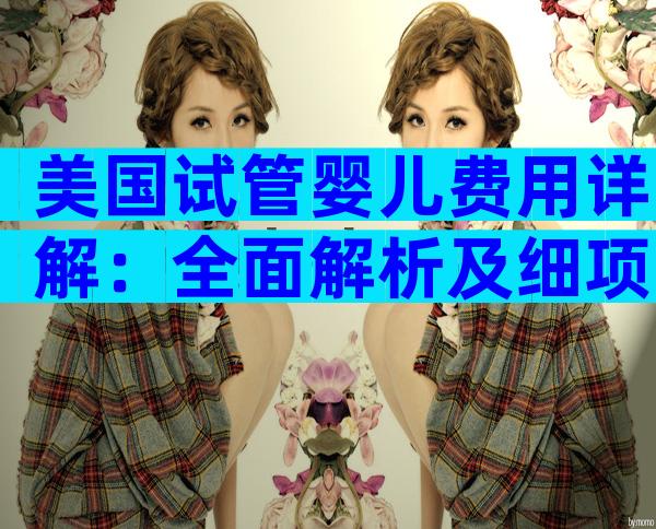 美国试管婴儿费用详解：全面解析及细项明细