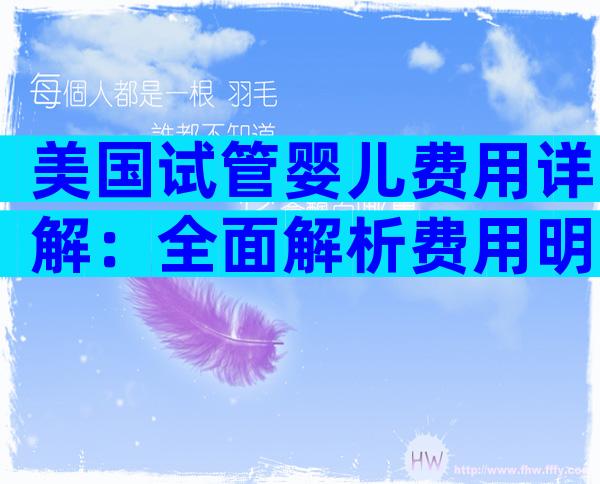 美国试管婴儿费用详解：全面解析费用明细与潜在支出