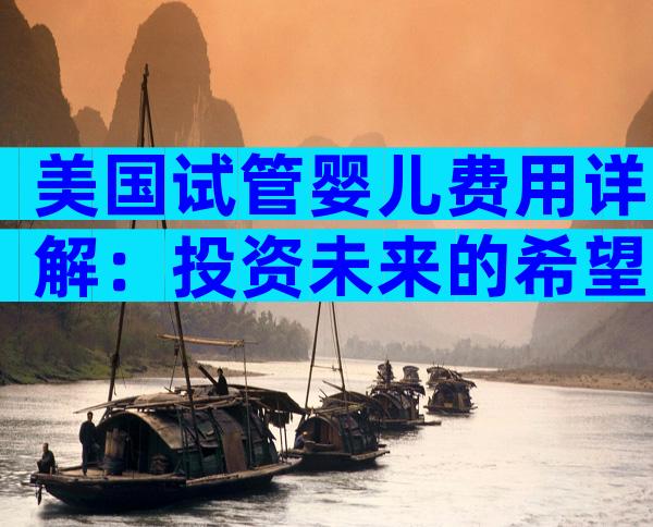 美国试管婴儿费用详解：投资未来的希望