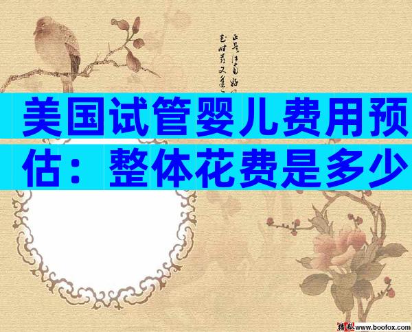 美国试管婴儿费用预估：整体花费是多少？