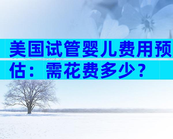 美国试管婴儿费用预估：需花费多少？