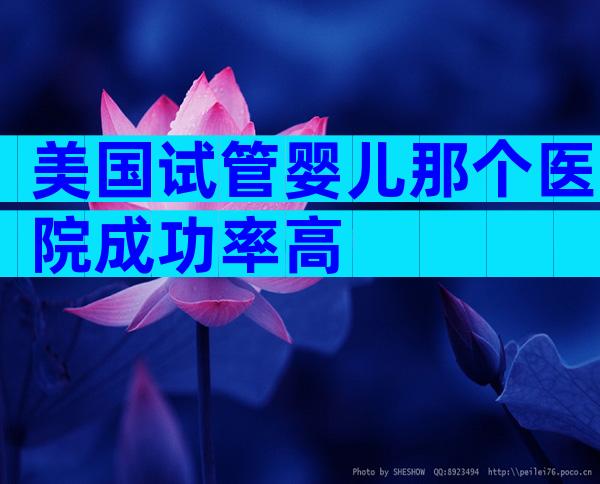 美国试管婴儿那个医院成功率高