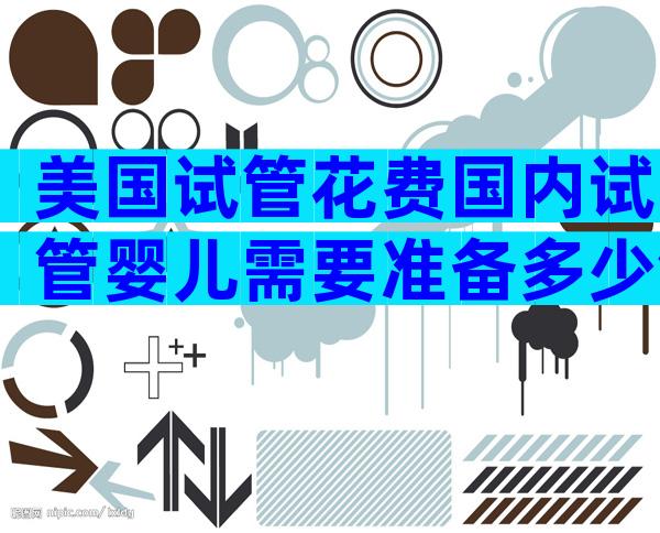 美国试管花费国内试管婴儿需要准备多少钱