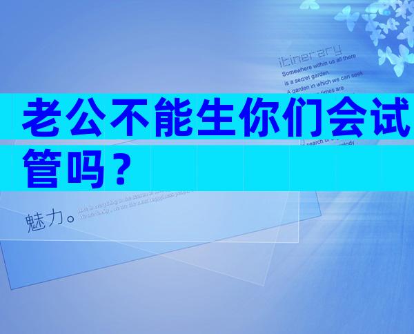 老公不能生你们会试管吗？