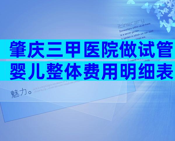 肇庆三甲医院做试管婴儿整体费用明细表