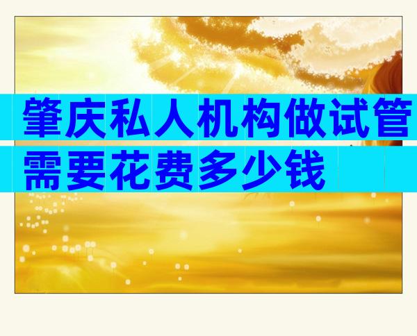 肇庆私人机构做试管需要花费多少钱