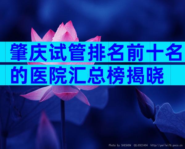 肇庆试管排名前十名的医院汇总榜揭晓