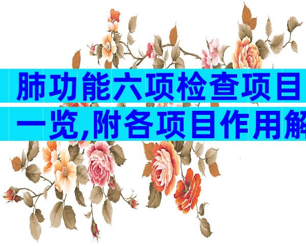 肺功能六项检查项目一览,附各项目作用解析