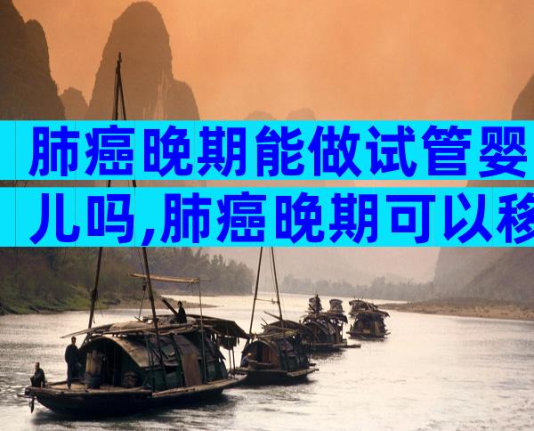 肺癌晚期能做试管婴儿吗,肺癌晚期可以移植吗