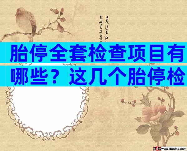 胎停全套检查项目有哪些？这几个胎停检查项目，孕妈要注意