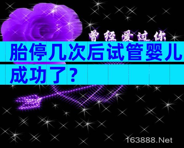 胎停几次后试管婴儿成功了？