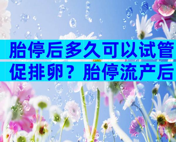 胎停后多久可以试管促排卵？胎停流产后多久可以促排促排卵？