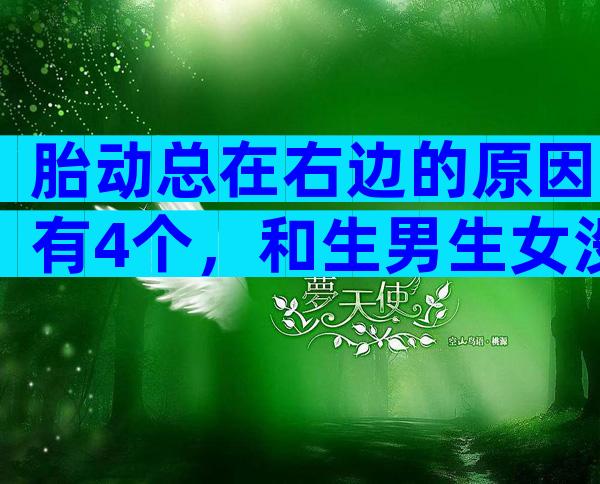 胎动总在右边的原因有4个，和生男生女没多大关系