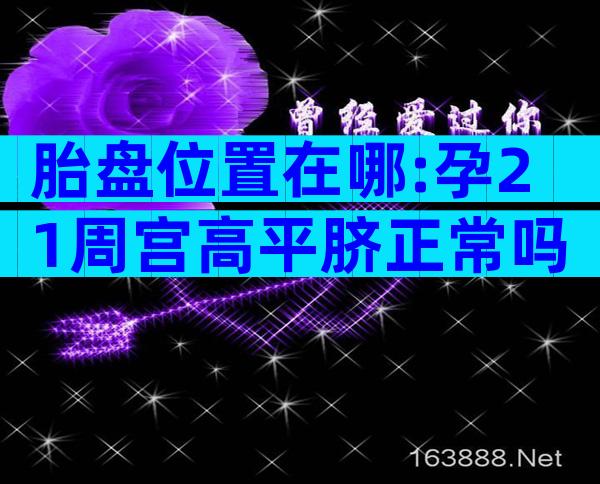 胎盘位置在哪:孕21周宫高平脐正常吗