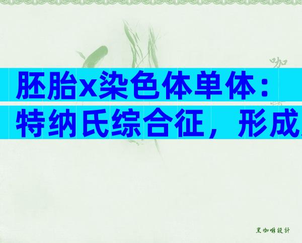 胚胎x染色体单体：特纳氏综合征，形成原因与这4点有关