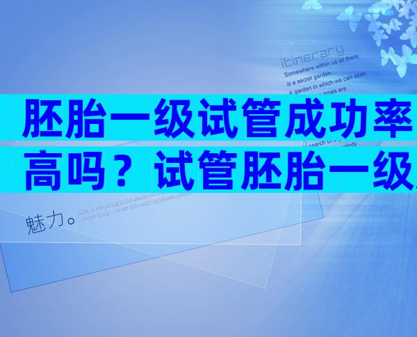 胚胎一级试管成功率高吗？试管胚胎一级成功率是多少？