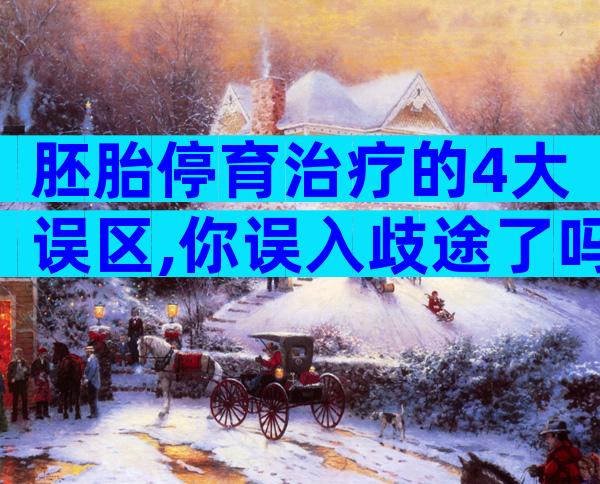 胚胎停育治疗的4大误区,你误入歧途了吗