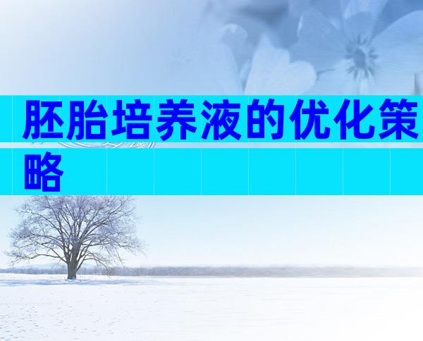 胚胎培养液的优化策略