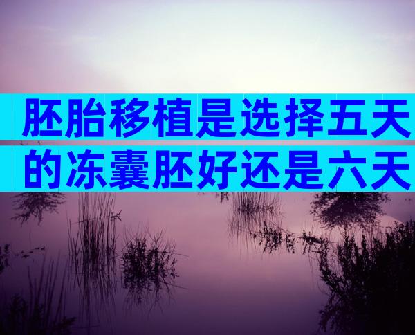 胚胎移植是选择五天的冻囊胚好还是六天的冻囊胚好？