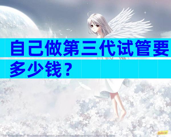 自己做第三代试管要多少钱？