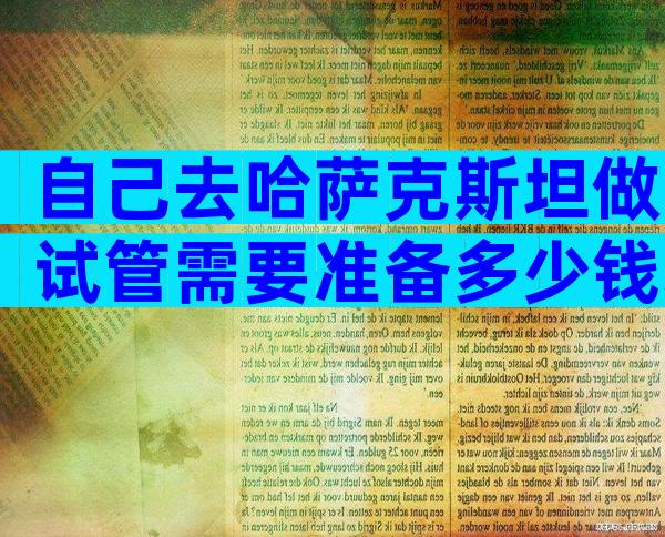 自己去哈萨克斯坦做试管需要准备多少钱才可以？