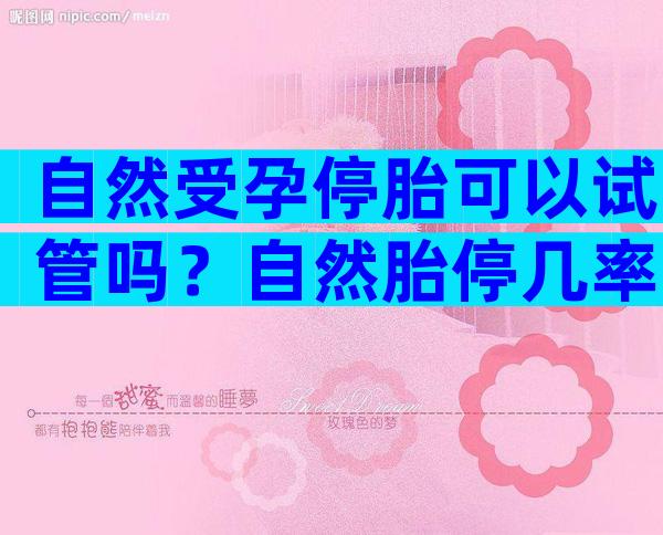 自然受孕停胎可以试管吗？自然胎停几率？