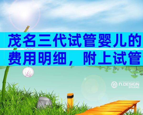 茂名三代试管婴儿的费用明细，附上试管流程列表！