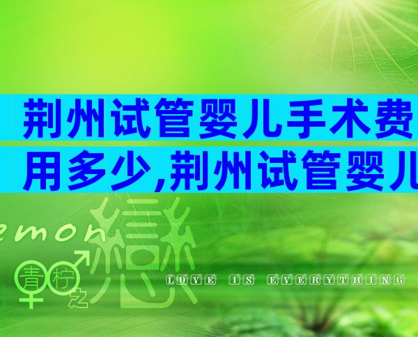 荆州试管婴儿手术费用多少,荆州试管婴儿手术费用多少钱