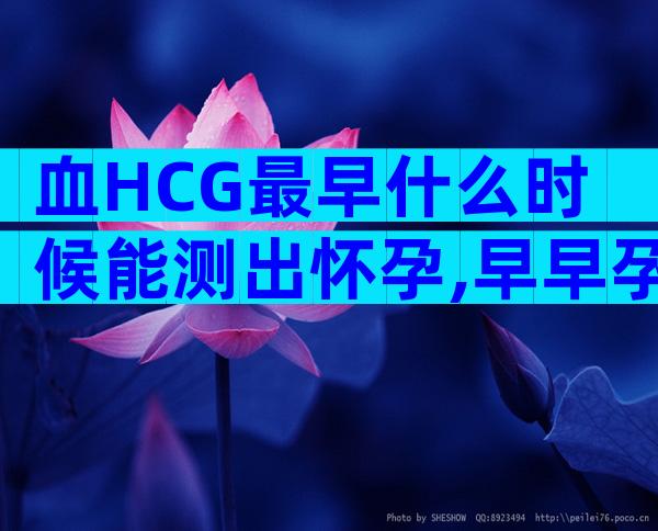 血HCG最早什么时候能测出怀孕,早早孕试纸可以反应hcg值吗