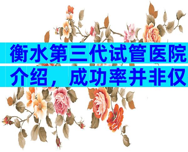 衡水第三代试管医院介绍，成功率并非仅有参考标准