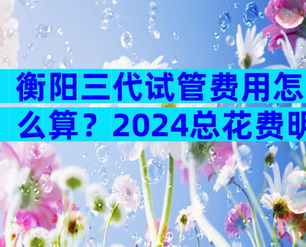 衡阳三代试管费用怎么算？2024总花费明细参考