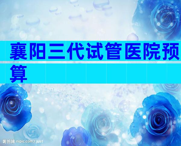 襄阳三代试管医院预算