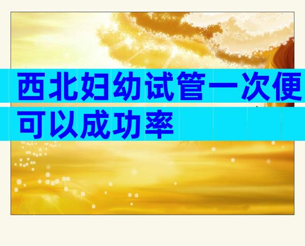 西北妇幼试管一次便可以成功率
