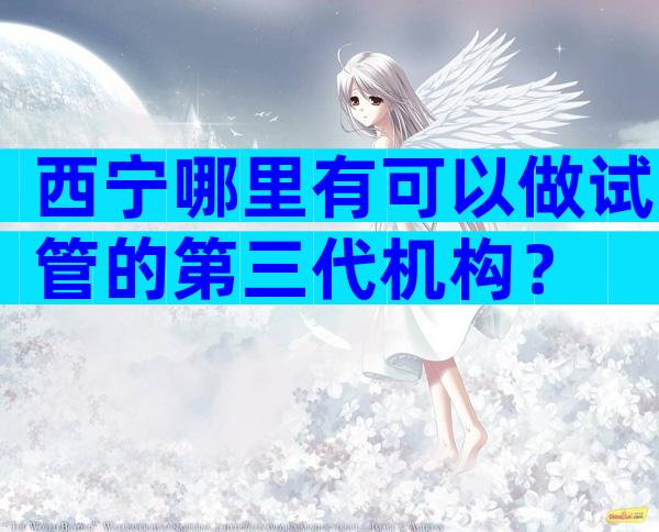 西宁哪里有可以做试管的第三代机构？