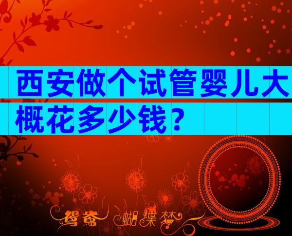 西安做个试管婴儿大概花多少钱？