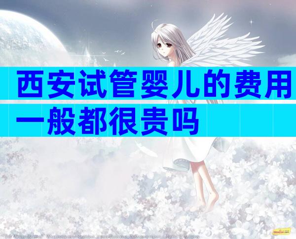 西安试管婴儿的费用一般都很贵吗