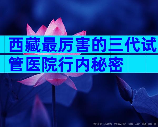西藏最厉害的三代试管医院行内秘密