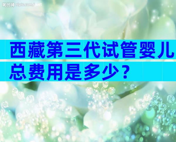 西藏第三代试管婴儿总费用是多少？