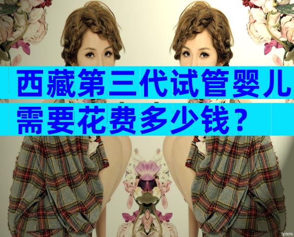 西藏第三代试管婴儿需要花费多少钱？
