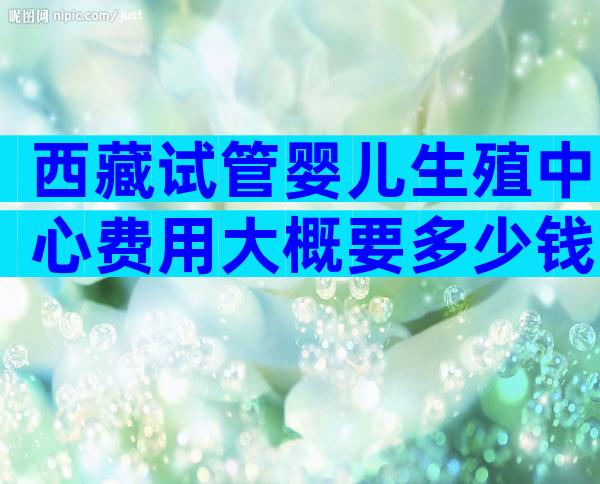 西藏试管婴儿生殖中心费用大概要多少钱