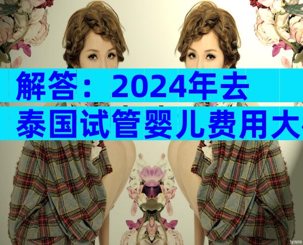 解答：2024年去泰国试管婴儿费用大概要多少？