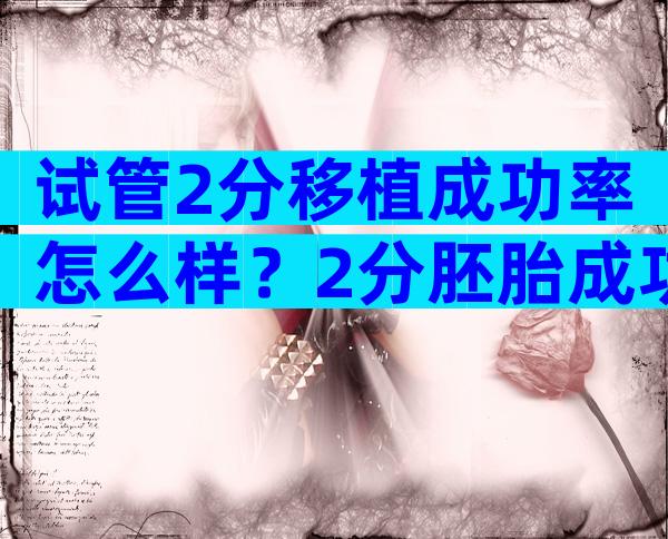 试管2分移植成功率怎么样？2分胚胎成功率怎么样？