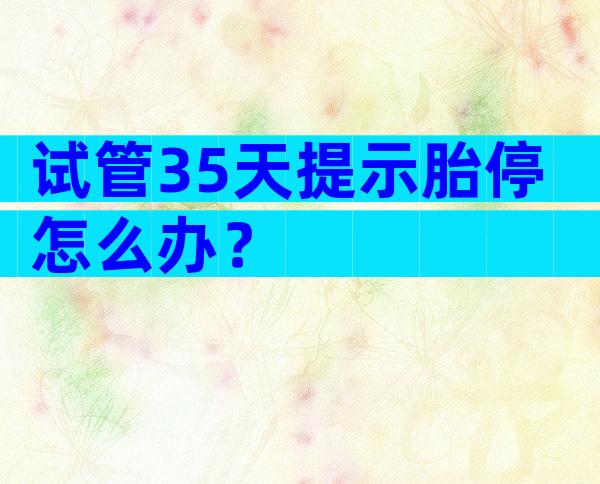 试管35天提示胎停怎么办？