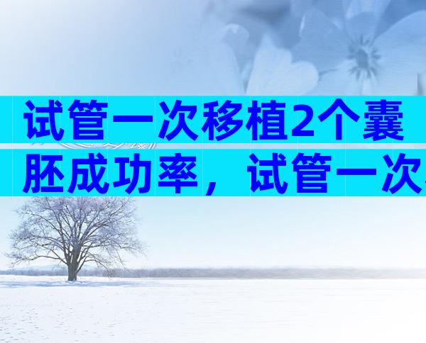 试管一次移植2个囊胚成功率，试管一次移植2个囊胚成功率多少？