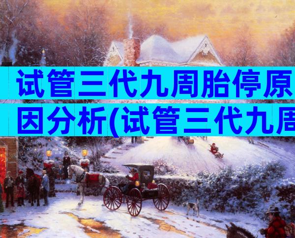 试管三代九周胎停原因分析(试管三代九周胎停原因分析)